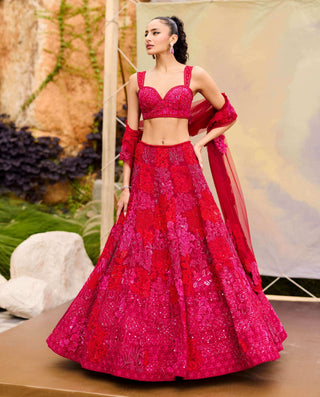 Red adonis lehenga set