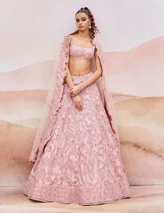 Muted pink rostrata lehenga set