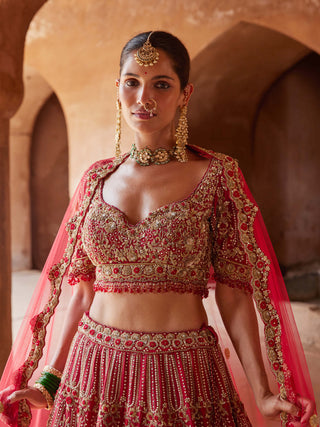 Nitika Gujral-Blood Red Raw Silk Lehenga Choli Set-INDIASPOPUP.COM