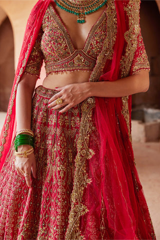 Nitika Gujral-Blood Red Raw Silk Lehenga Choli Set-INDIASPOPUP.COM