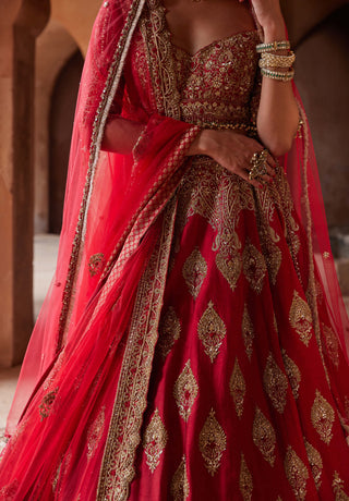 Nitika Gujral-Cardinal Red Raw Silk Lehenga Choli Set-INDIASPOPUP.COM
