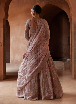 Nitika Gujral-Rose Pink Net Lehenga Choli Set-INDIASPOPUP.COM