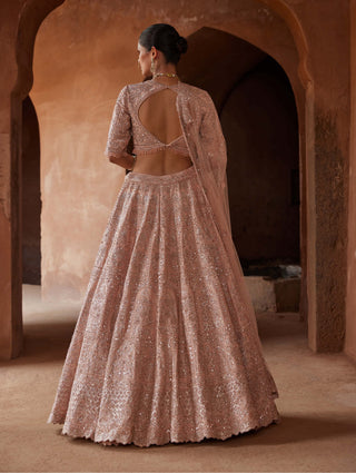Nitika Gujral-Blush Pink Raw Silk Lehenga Choli Set-INDIASPOPUP.COM