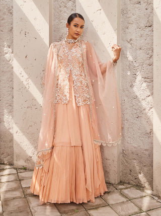 Nidhika Shekhar-Pink Jalsaa Anarkali And Cape-INDIASPOPUP.COM