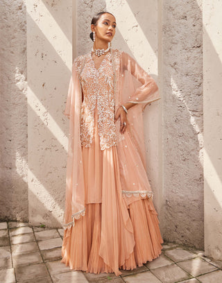 Nidhika Shekhar-Pink Jalsaa Anarkali And Cape-INDIASPOPUP.COM