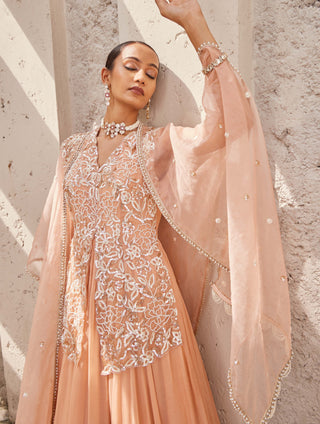 Nidhika Shekhar-Pink Jalsaa Anarkali And Cape-INDIASPOPUP.COM