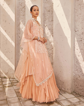Nidhika Shekhar-Pink Jalsaa Anarkali And Cape-INDIASPOPUP.COM