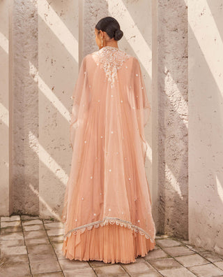 Nidhika Shekhar-Pink Jalsaa Anarkali And Cape-INDIASPOPUP.COM
