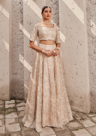 Nidhika Shekhar-Champagne Maharani Lehenga Set-INDIASPOPUP.COM