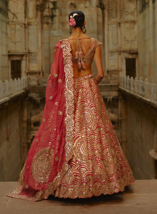 Rust mirror work lehenga set