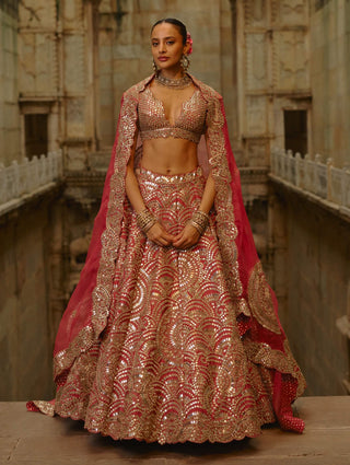Rust mirror work lehenga set