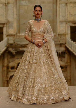 Gold lehenga crystals set