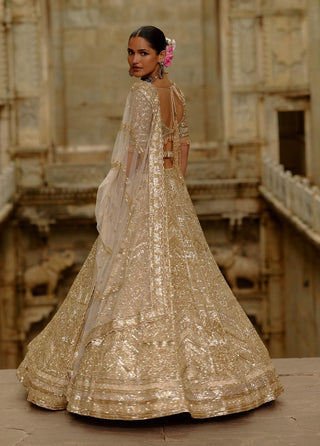 Gold lehenga crystals set