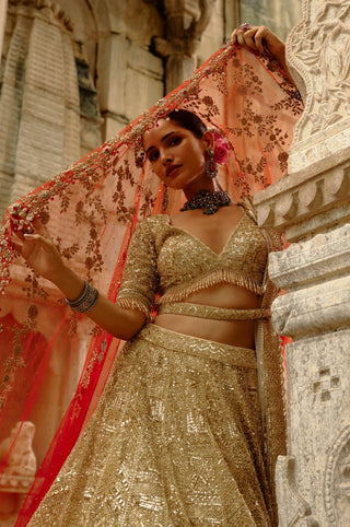 Gold lehenga crystals set