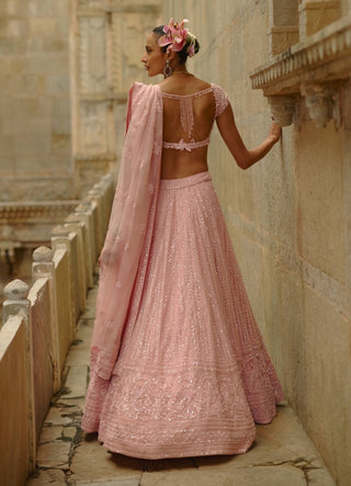 Pink net shimmering lehenga set