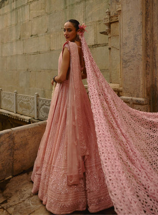 Pink net shimmering lehenga set