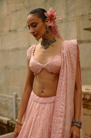 Pink net shimmering lehenga set
