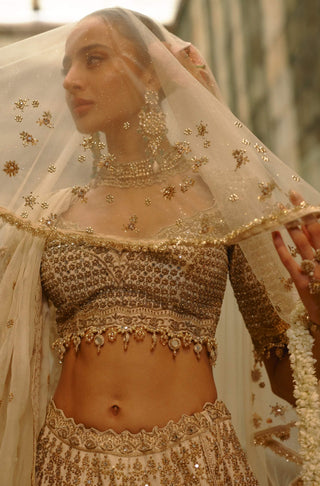 Cream embroidered monga lehenga set