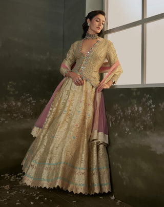 Nitika Gujral Gold Woven Benarsi Silk Lehenga Set available on indiaspopup