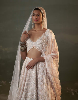 Nitika Gujral Blush Pink Lehenga Choli Set available on indiaspopup