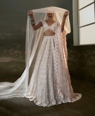 Nitika Gujral Blush Pink Lehenga Choli Set available on indiaspopup