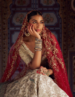 Silver Tissue Lehenga Choli Set by Nitika Gujral available on Indiaspopup.com