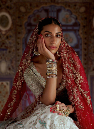 Silver Tissue Lehenga Choli Set by Nitika Gujral available on Indiaspopup.com