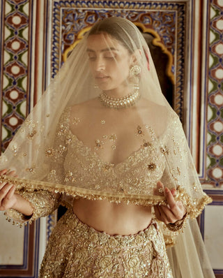 Champagne Gold Net Lehenga Choli Set by Nitika Gujral available on Indiaspopup.com
