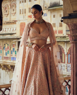 Peach Tafetta Silk Lehenga Choli Set by Nitika Gujral available on Indiaspopup.com