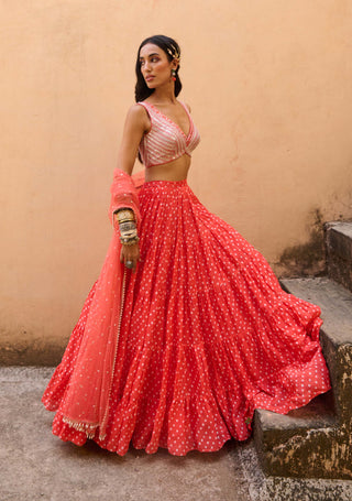 Chamee And Palak-Orange Bandhani Lehenga Set-INDIASPOPUP.COM
