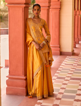 Punit Balana Mustard Jodha Sharara Set available on indiaspopup