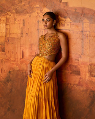 Punit Balana Mustard Ghaghri Maxi Gown available on indiaspopup