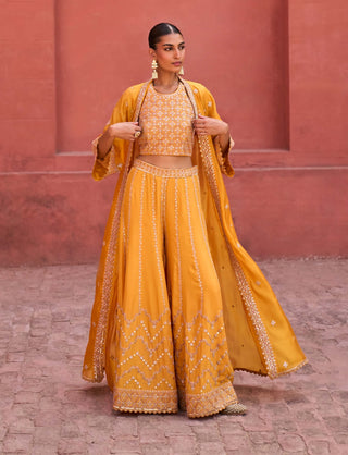 Punit Balana Mustard Rani Sa Sharara Set available on indiaspopup
