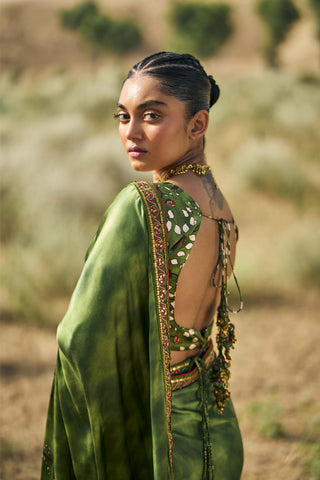 Punit Balana Kaccha Aam Ranthambore Print Sari Set available on indiaspopup