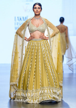 Vvani By Vani Vats-Fern Green Chandelier Pearl Drop Lehenga Set-INDIASPOPUP.COM