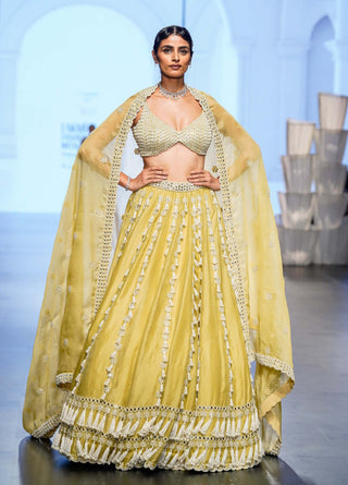 Vvani By Vani Vats-Fern Green Chandelier Pearl Drop Lehenga Set-INDIASPOPUP.COM