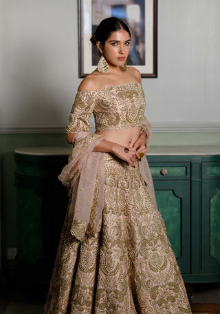 Aida Blush Embroidered Lehenga Set by Payal Singhal available on Indiaspopup