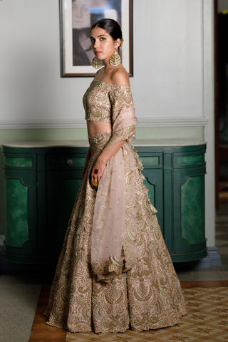 Aida Blush Embroidered Lehenga Set by Payal Singhal available on Indiaspopup