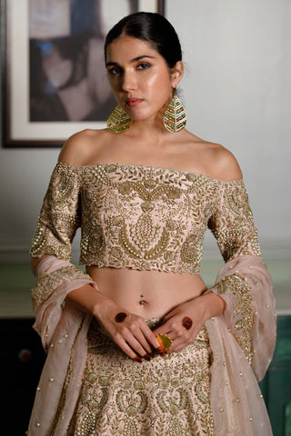 Aida Blush Embroidered Lehenga Set by Payal Singhal available on Indiaspopup