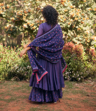 Grape jelly anarkali and skirt set