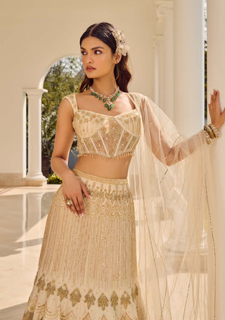 Dusty Ivory Mesh Lehenga Set by Parul Gandhi available on Indiaspopup.com