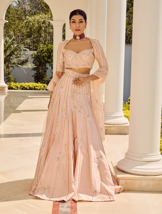 Misty Haze Pink Lehenga Set by Parul Gandhi available on Indiaspopup.com