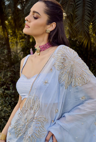 Dew Powder Blue Sari And Blouse by Parul Gandhi available on Indiaspopup.com