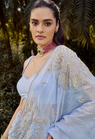 Dew Powder Blue Sari And Blouse by Parul Gandhi available on Indiaspopup.com