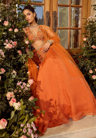 Maple Rust Lehenga Set by Parul Gandhi available on Indiaspopup.com
