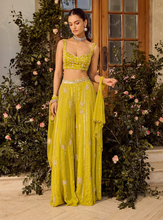 Lime Zest Flared Pant And Cape Set by Parul Gandhi available on Indiaspopup.com