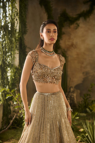 Gold spectrum lehenga set