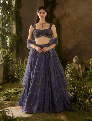 Enchanted charm blue lehenga set
