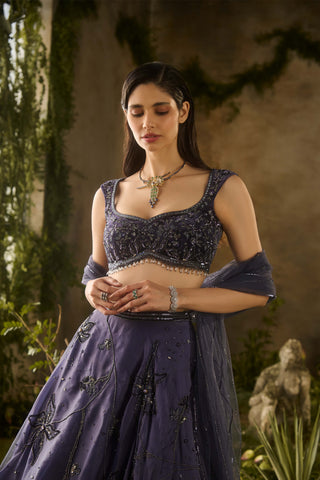 Enchanted charm blue lehenga set