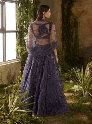 Enchanted charm blue lehenga set